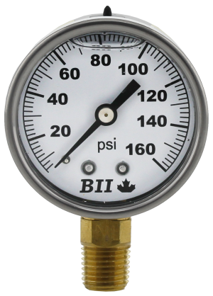 BII PG-100-GNL 2" Dial Size No Lead Pressure Gauge 2 each 